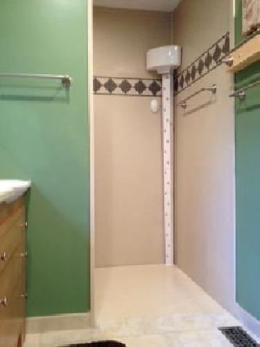 Tornado Body Dryer  Shower panels, Bathrooms remodel, Remodel